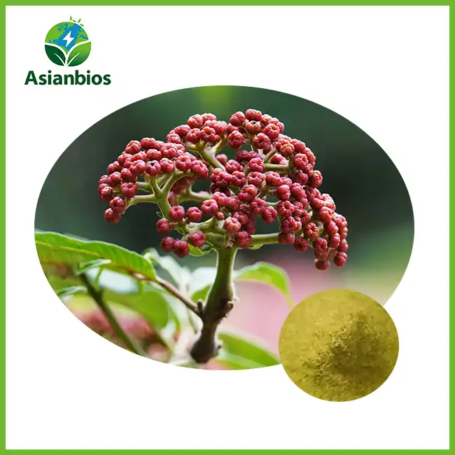 Evodia Extract Powder
